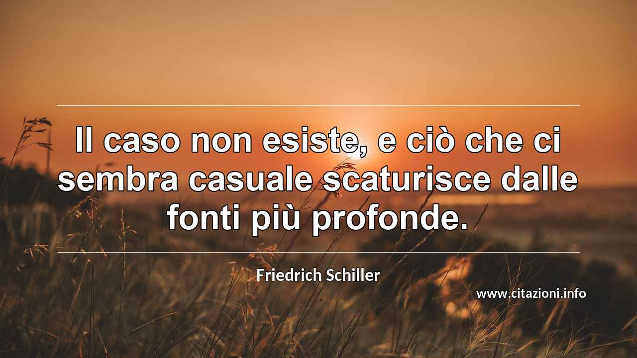 “Il caso non esiste, e ciò che ci sembra casuale scaturisce dalle fonti più profonde.”