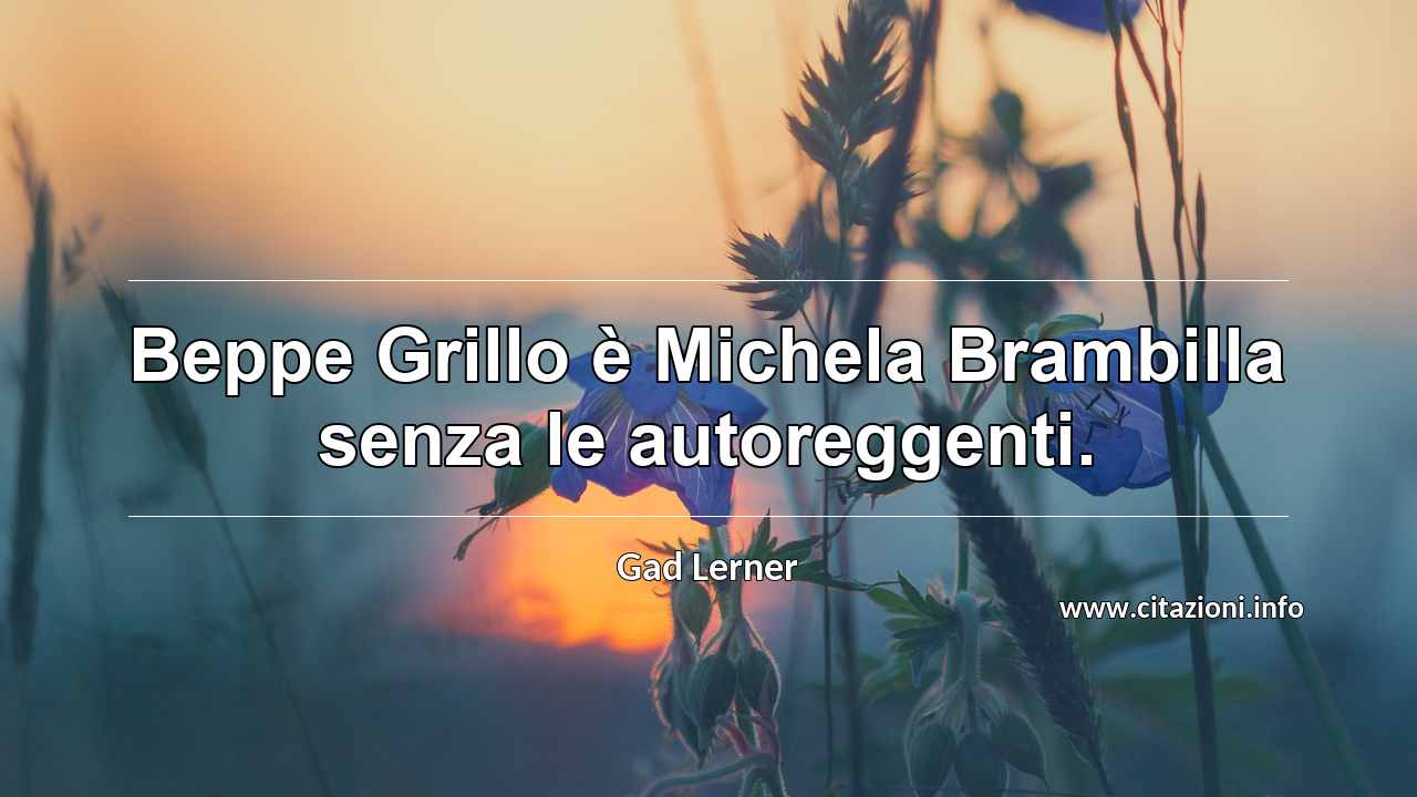 “Beppe Grillo è Michela Brambilla senza le autoreggenti.”