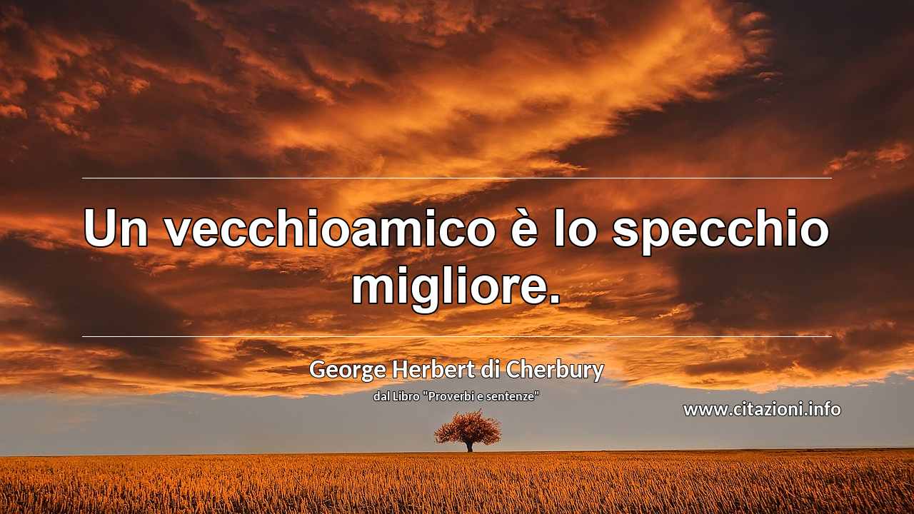 “Un vecchioamico è lo specchio migliore.”