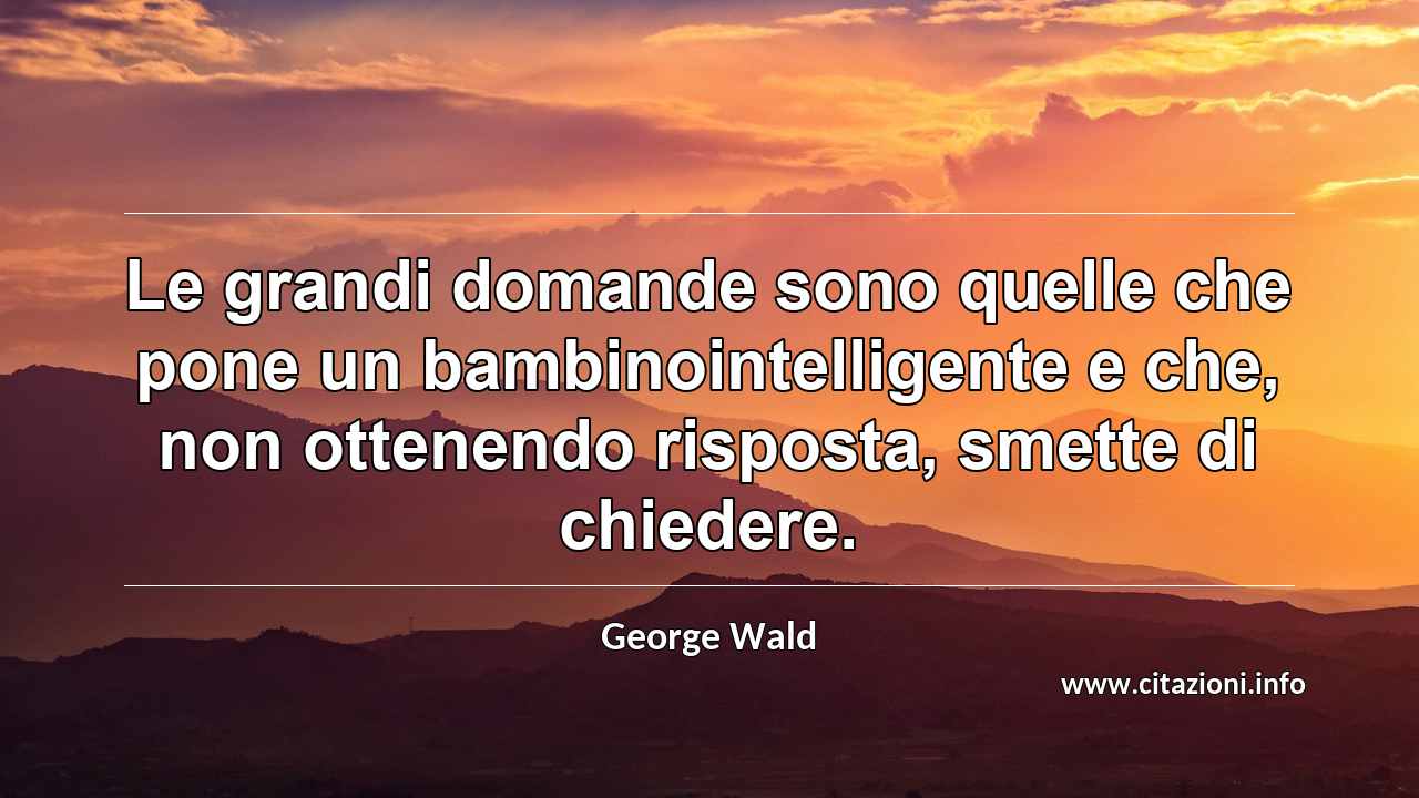 “Le grandi domande sono quelle che pone un bambinointelligente e che, non ottenendo risposta, smette di chiedere.”
