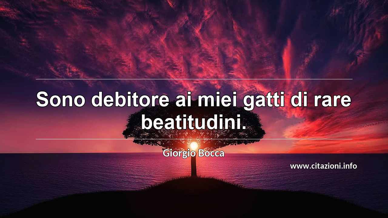 “Sono debitore ai miei gatti di rare beatitudini.”