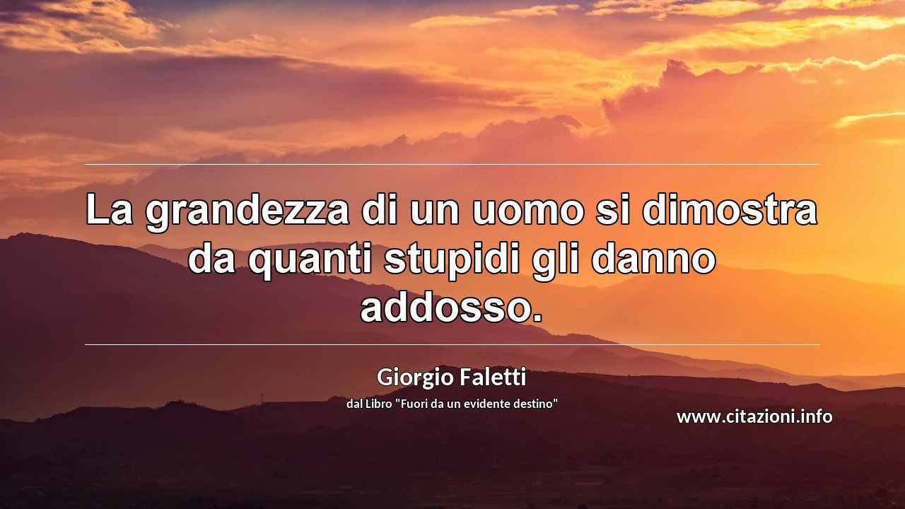 “La grandezza di un uomo si dimostra da quanti stupidi gli danno addosso.”