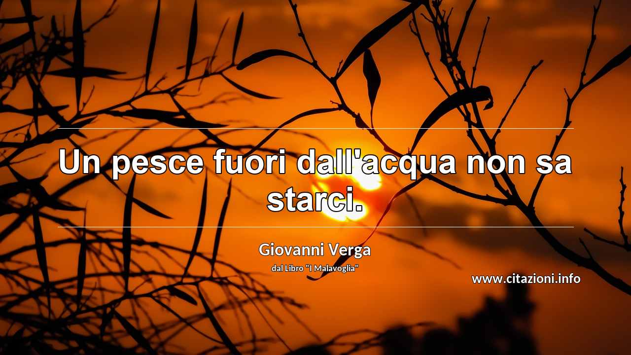 “Un pesce fuori dall'acqua non sa starci.”