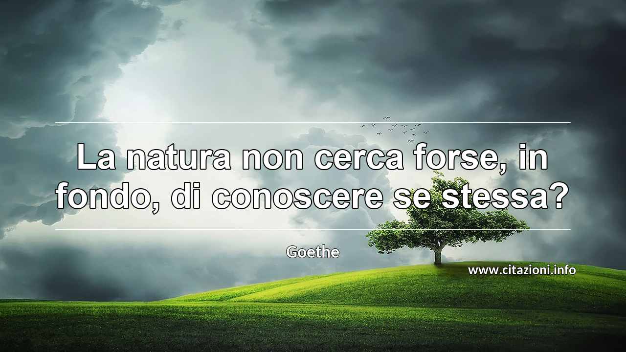 “La natura non cerca forse, in fondo, di conoscere se stessa?”