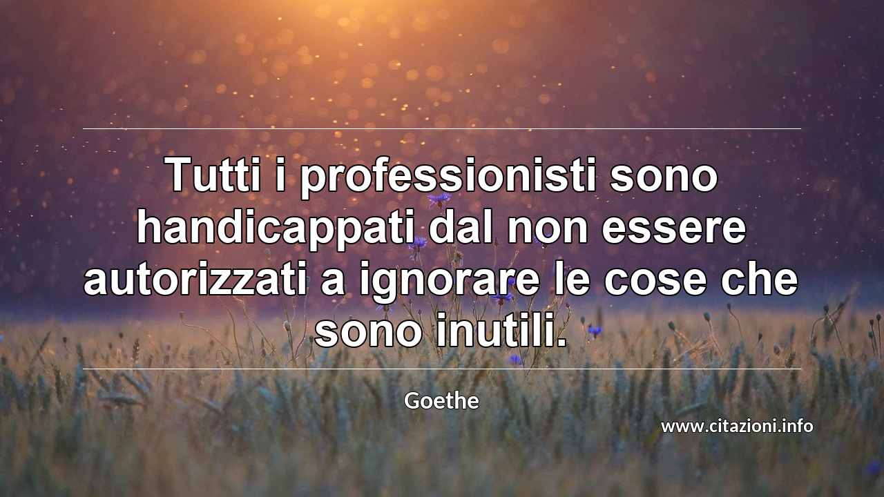 “Tutti i professionisti sono handicappati dal non essere autorizzati a ignorare le cose che sono inutili.”
