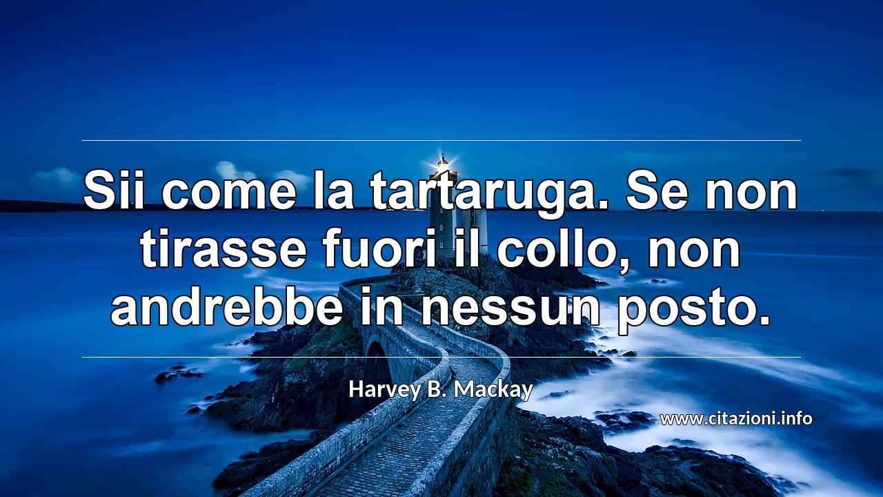 “Sii come la tartaruga. Se non tirasse fuori il collo, non andrebbe in nessun posto.”
