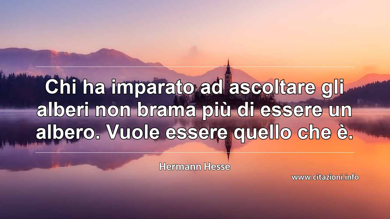 “Chi ha imparato ad ascoltare gli alberi non brama più di essere un albero. Vuole essere quello che è.”