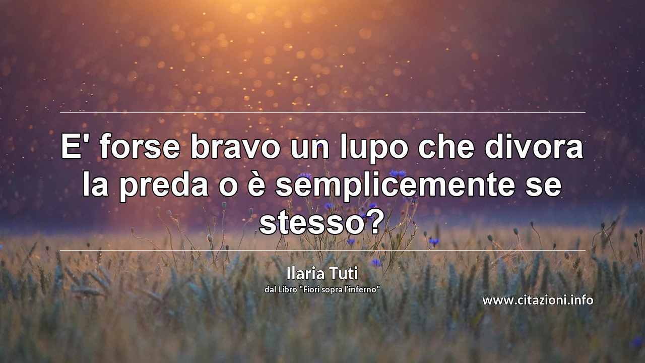“E' forse bravo un lupo che divora la preda o è semplicemente se stesso?”