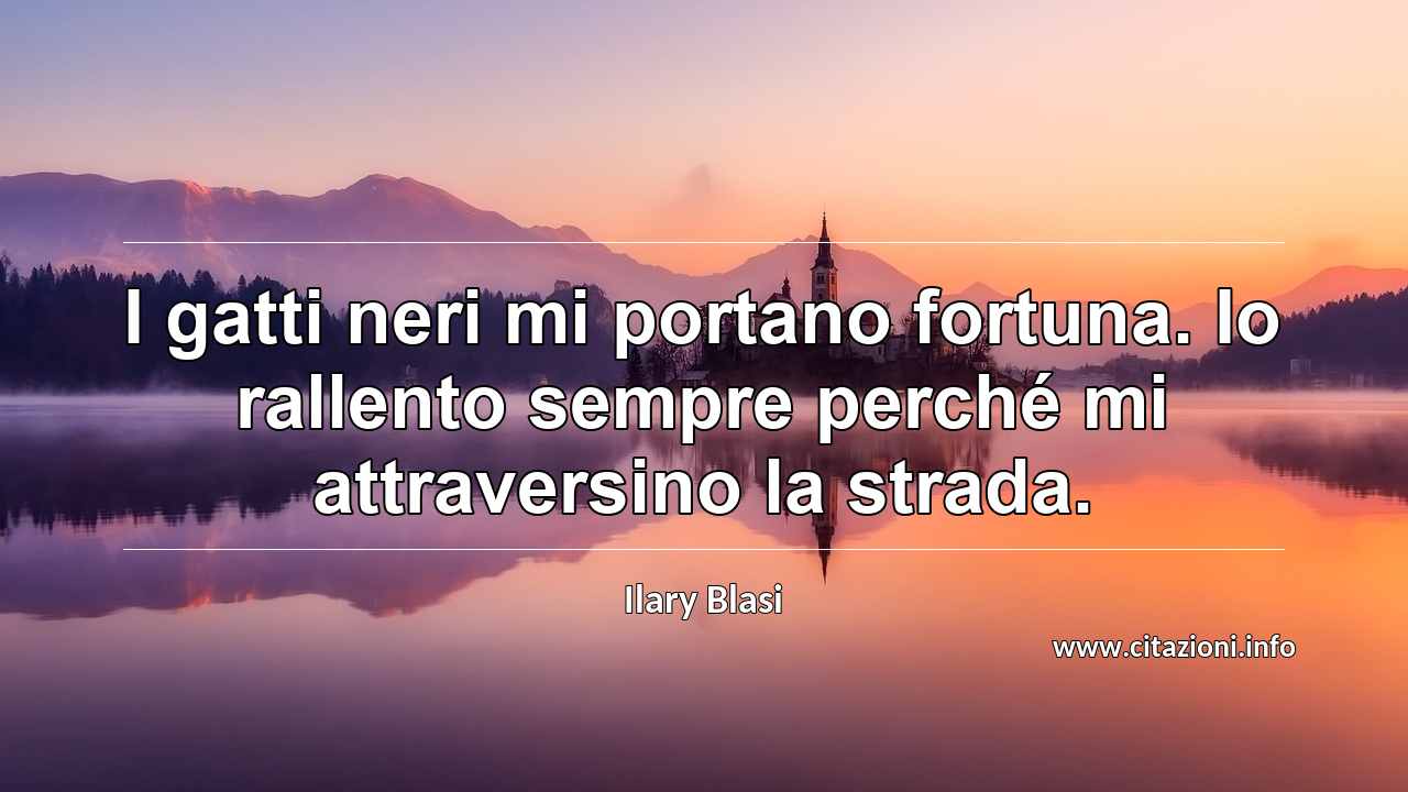“I gatti neri mi portano fortuna. Io rallento sempre perché mi attraversino la strada.”