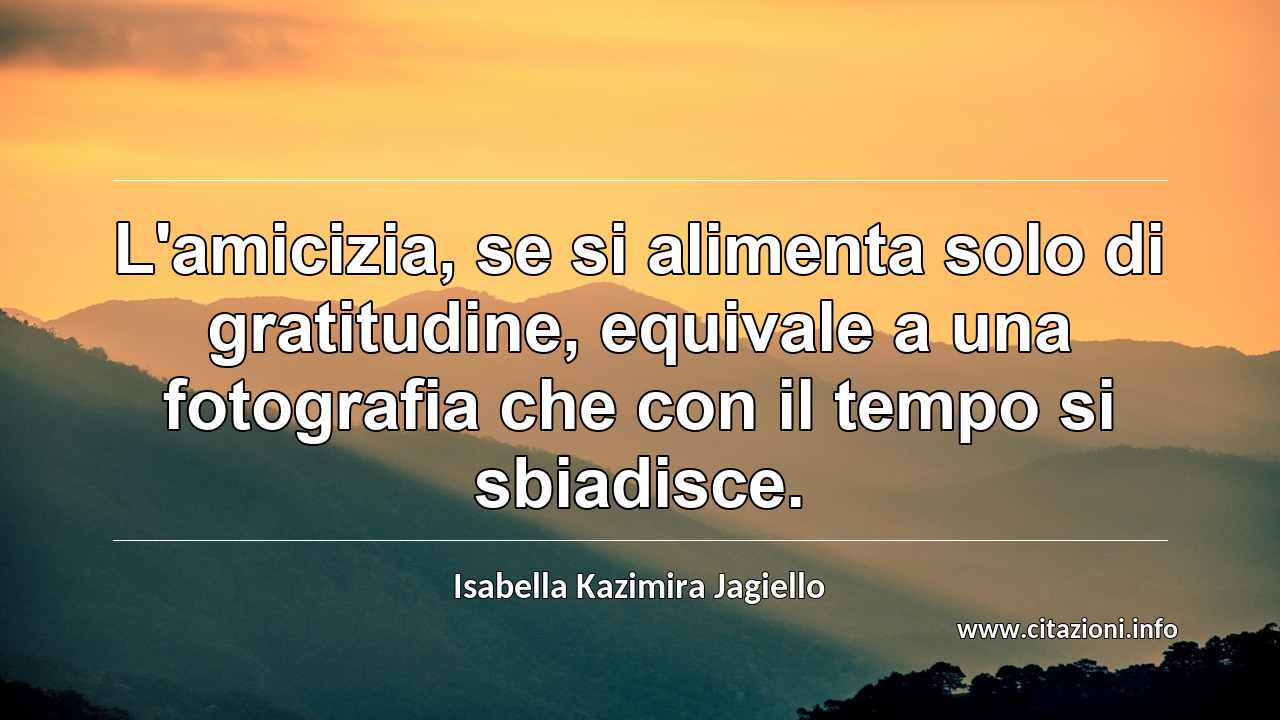 “L'amicizia, se si alimenta solo di gratitudine, equivale a una fotografia che con il tempo si sbiadisce.”