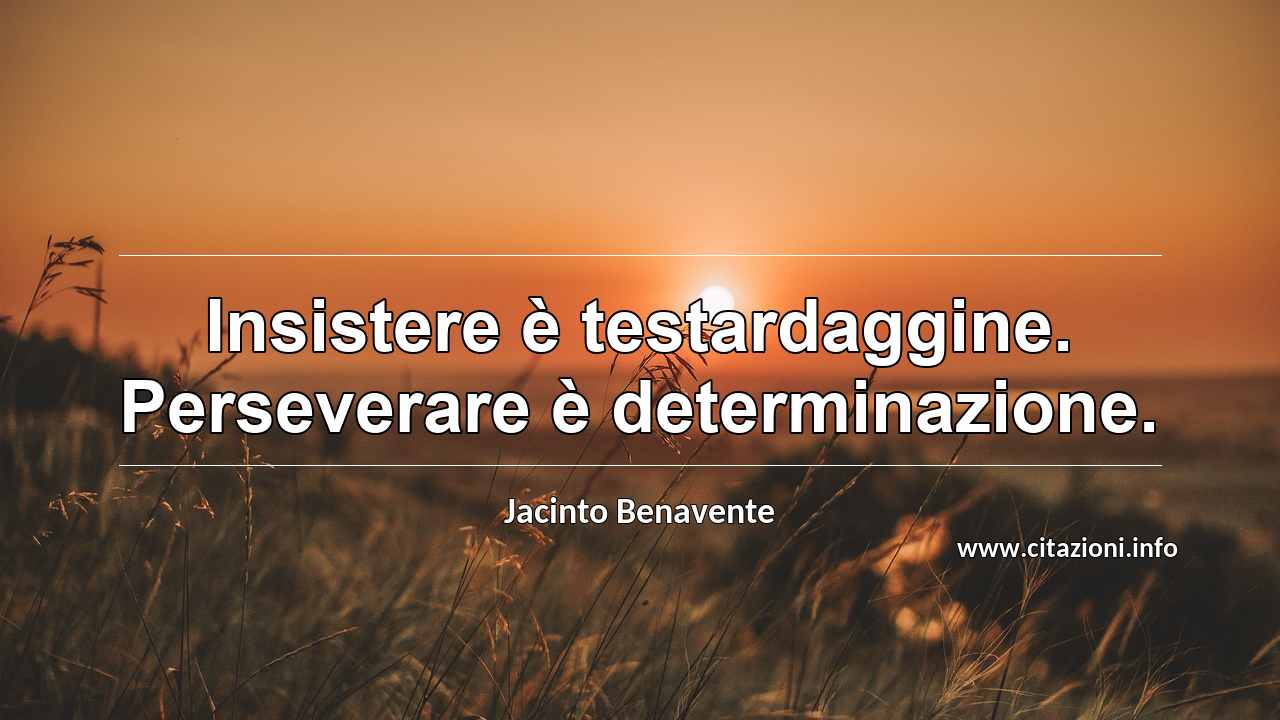 “Insistere è testardaggine. Perseverare è determinazione.”