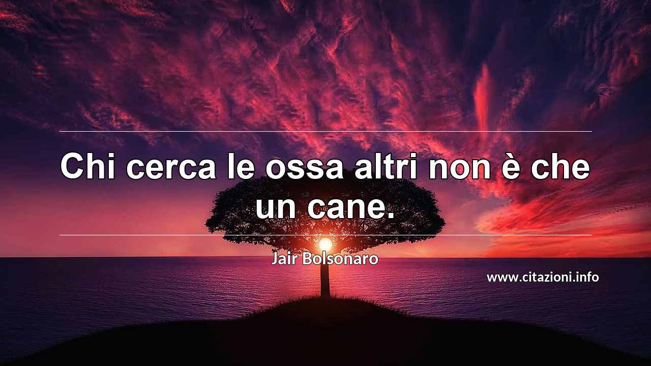 “Chi cerca le ossa altri non è che un cane.”