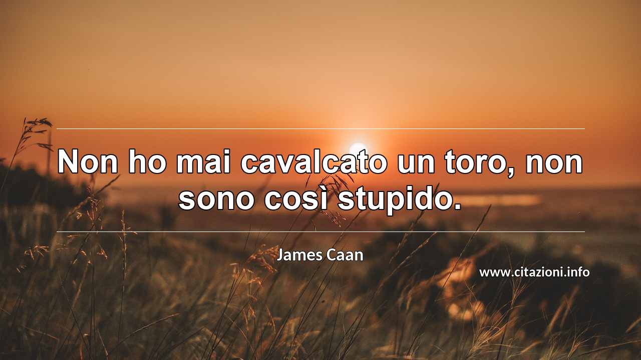 “Non ho mai cavalcato un toro, non sono così stupido.”