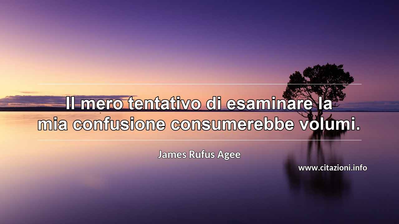 “Il mero tentativo di esaminare la mia confusione consumerebbe volumi.”