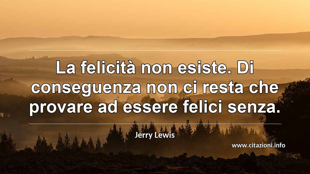 “La felicità non esiste. Di conseguenza non ci resta che provare ad essere felici senza.”