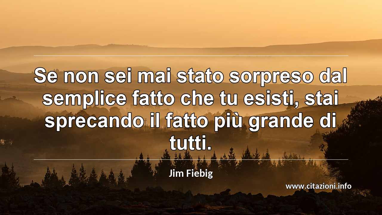 “Se non sei mai stato sorpreso dal semplice fatto che tu esisti, stai sprecando il fatto più grande di tutti.”