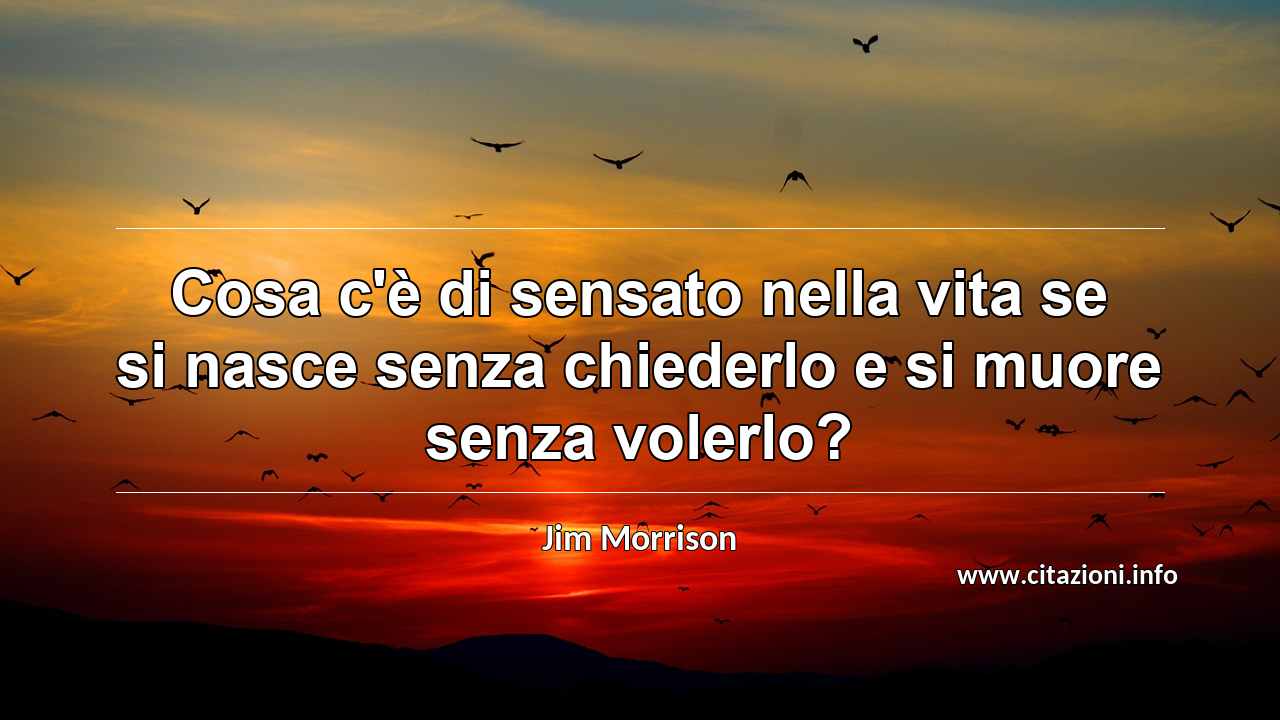 “Cosa c'è di sensato nella vita se si nasce senza chiederlo e si muore senza volerlo?”