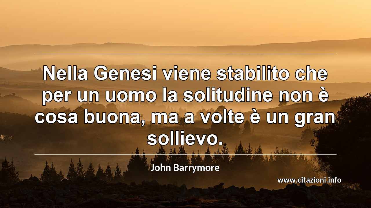 “Nella Genesi viene stabilito che per un uomo la solitudine non è cosa buona, ma a volte è un gran sollievo.”