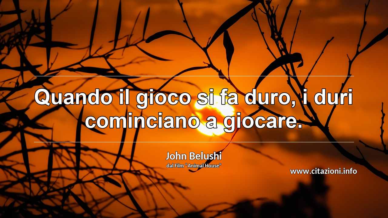 “Quando il gioco si fa duro, i duri cominciano a giocare.”