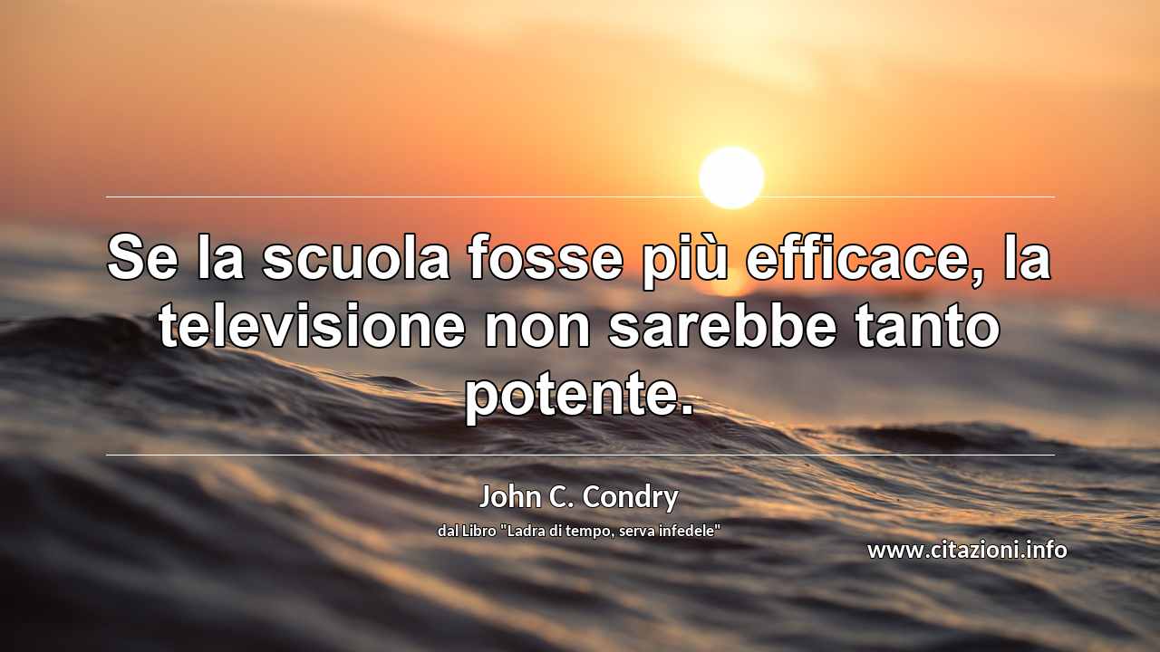 “Se la scuola fosse più efficace, la televisione non sarebbe tanto potente.”
