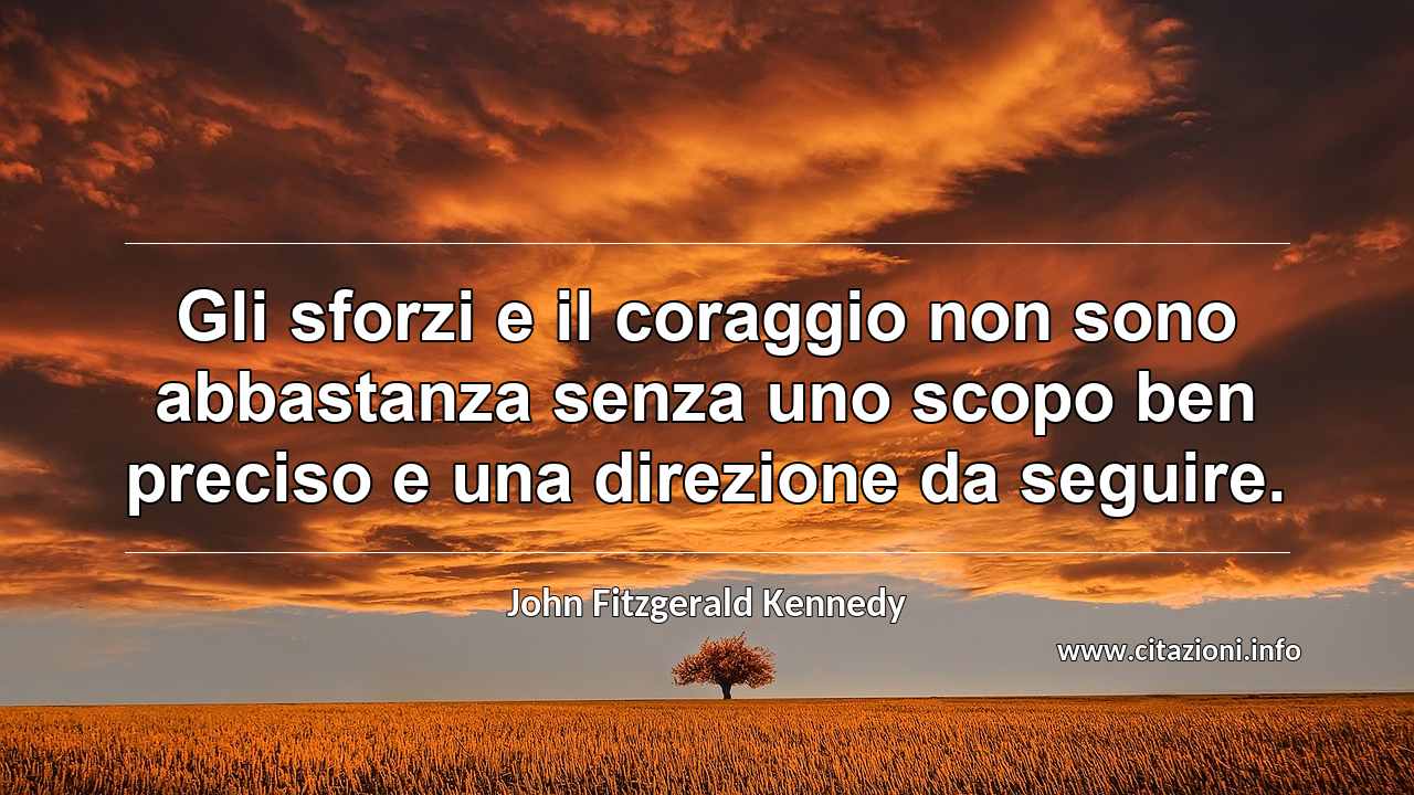 “Gli sforzi e il coraggio non sono abbastanza senza uno scopo ben preciso e una direzione da seguire.”