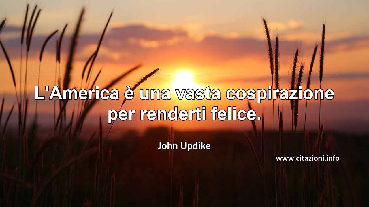 “L'America è una vasta cospirazione per renderti felice.”