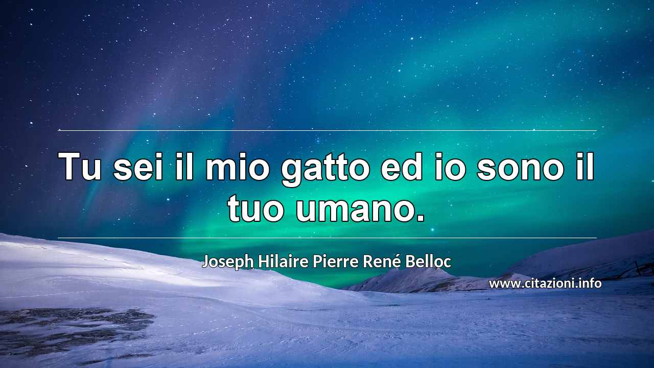 “Tu sei il mio gatto ed io sono il tuo umano.”