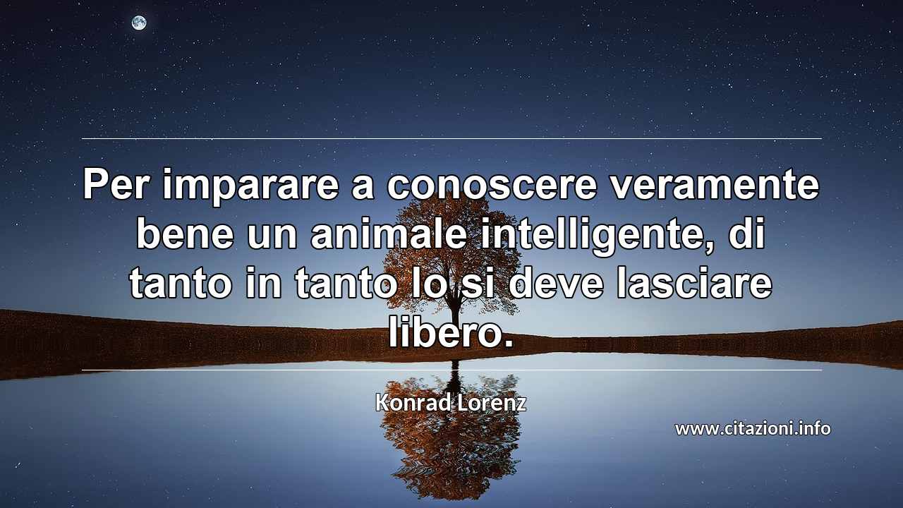 “Per imparare a conoscere veramente bene un animale intelligente, di tanto in tanto lo si deve lasciare libero.”