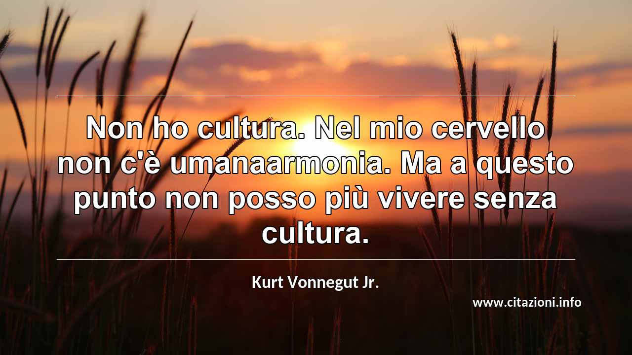 “Non ho cultura. Nel mio cervello non c'è umanaarmonia. Ma a questo punto non posso più vivere senza cultura.”