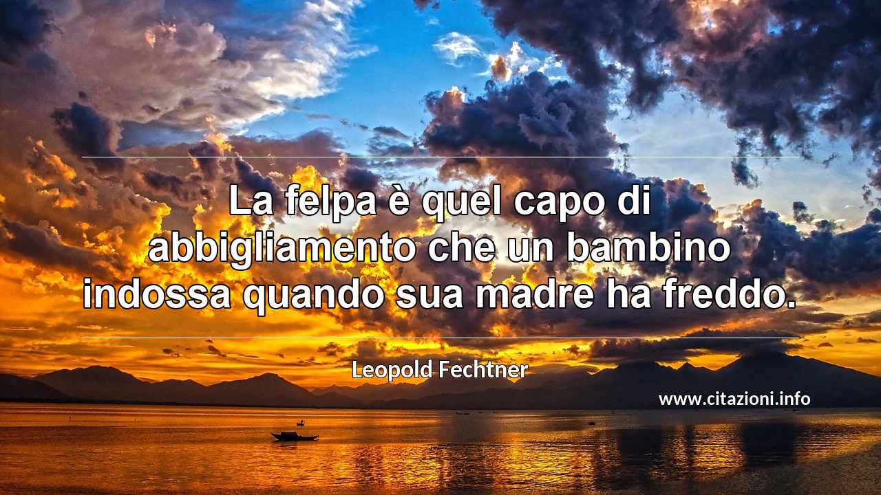 “La felpa è quel capo di abbigliamento che un bambino indossa quando sua madre ha freddo.”