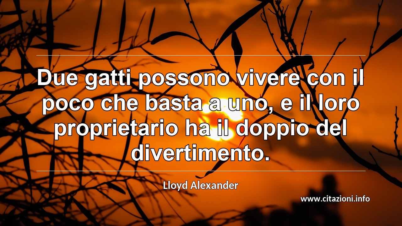 “Due gatti possono vivere con il poco che basta a uno, e il loro proprietario ha il doppio del divertimento.”