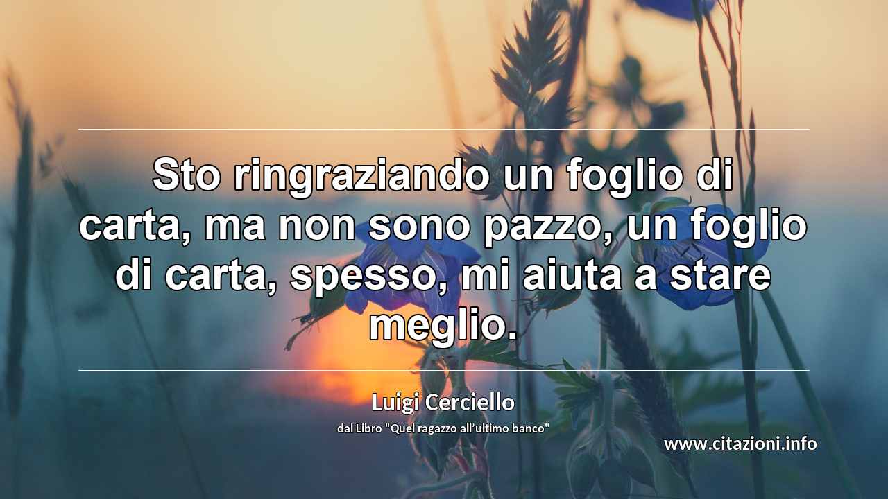 “Sto ringraziando un foglio di carta, ma non sono pazzo, un foglio di carta, spesso, mi aiuta a stare meglio.”