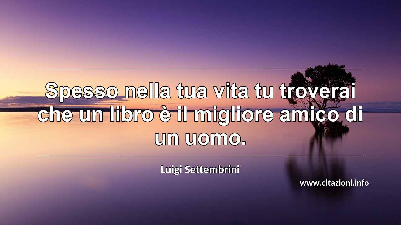 “Spesso nella tua vita tu troverai che un libro è il migliore amico di un uomo.”