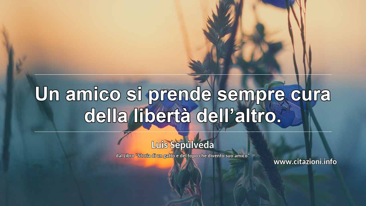 “Un amico si prende sempre cura della libertà dell’altro.”