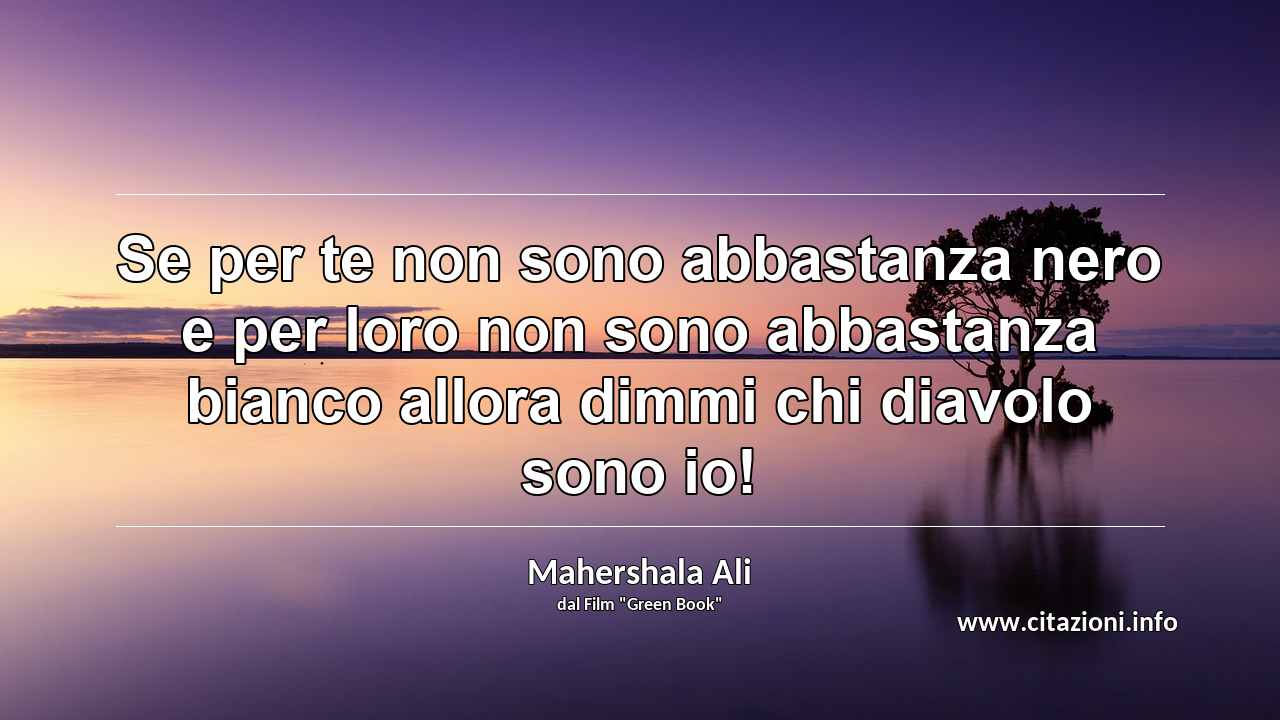 “Se per te non sono abbastanza nero e per loro non sono abbastanza bianco allora dimmi chi diavolo sono io!”