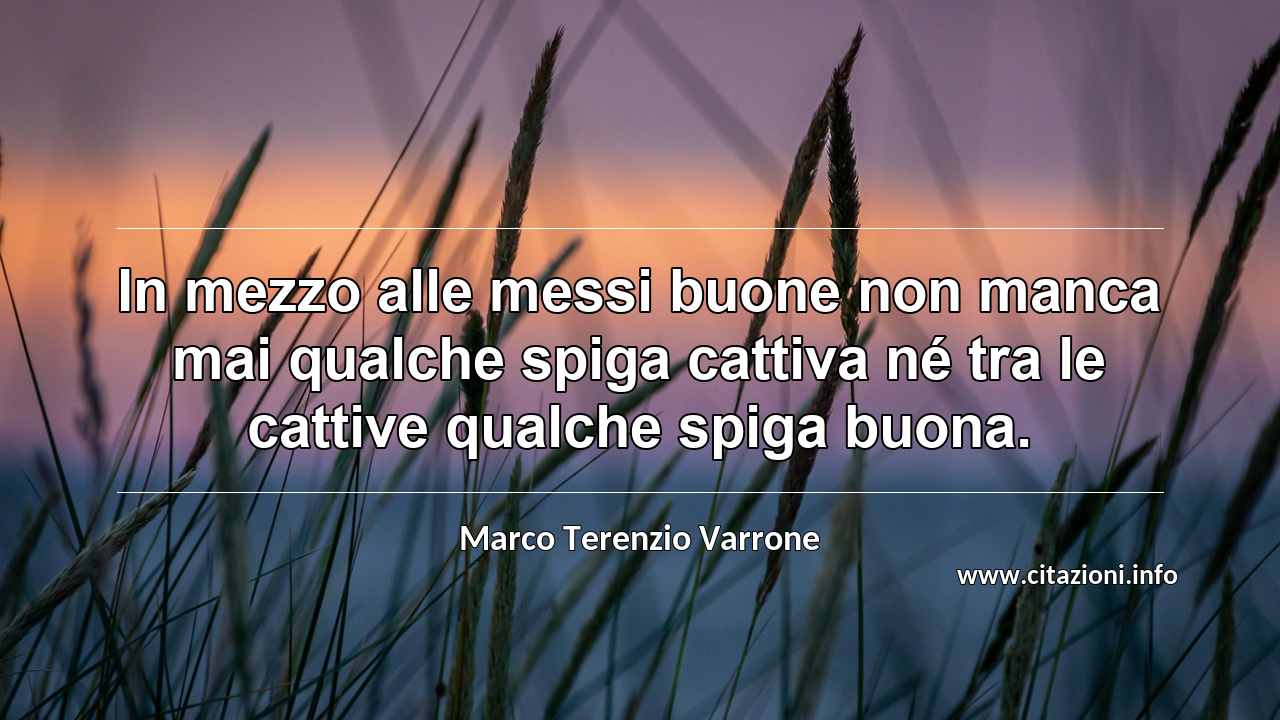“In mezzo alle messi buone non manca mai qualche spiga cattiva né tra le cattive qualche spiga buona.”