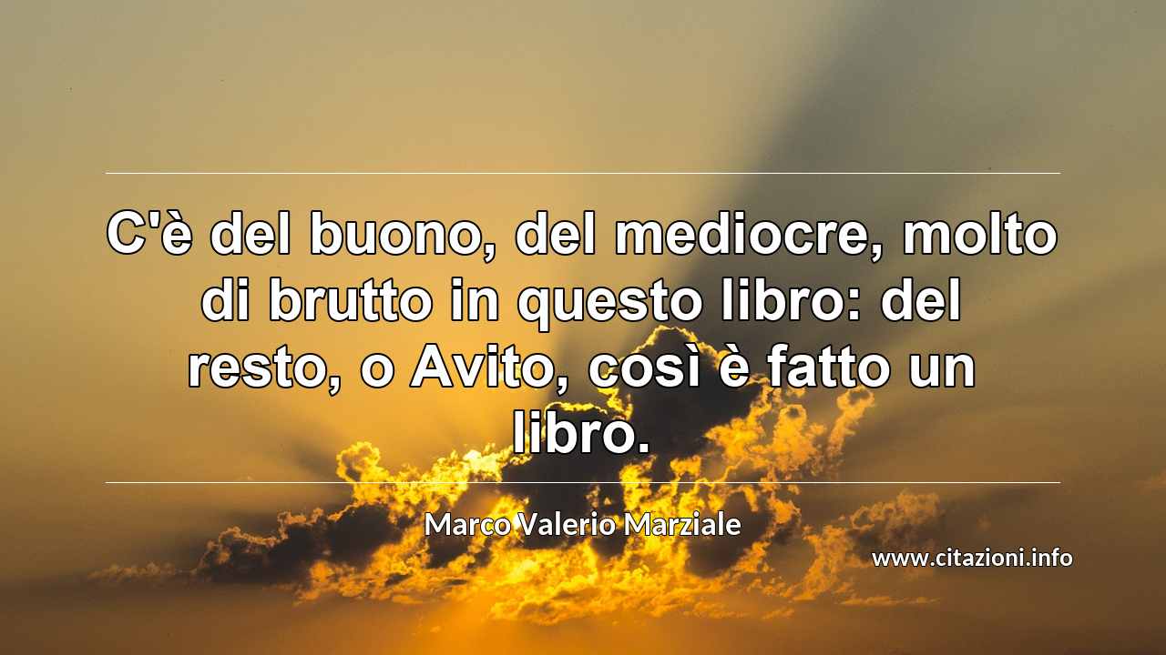 “C'è del buono, del mediocre, molto di brutto in questo libro: del resto, o Avito, così è fatto un libro.”