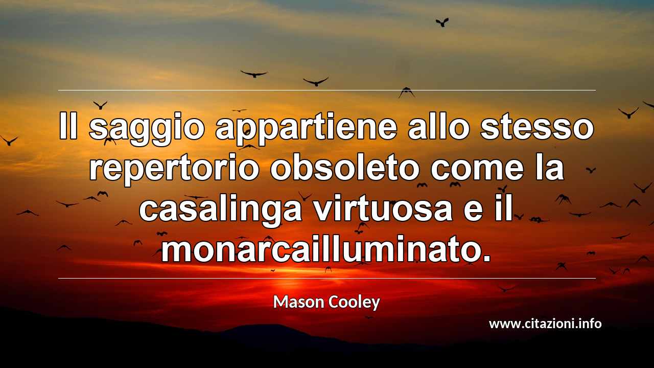 “Il saggio appartiene allo stesso repertorio obsoleto come la casalinga virtuosa e il monarcailluminato.”