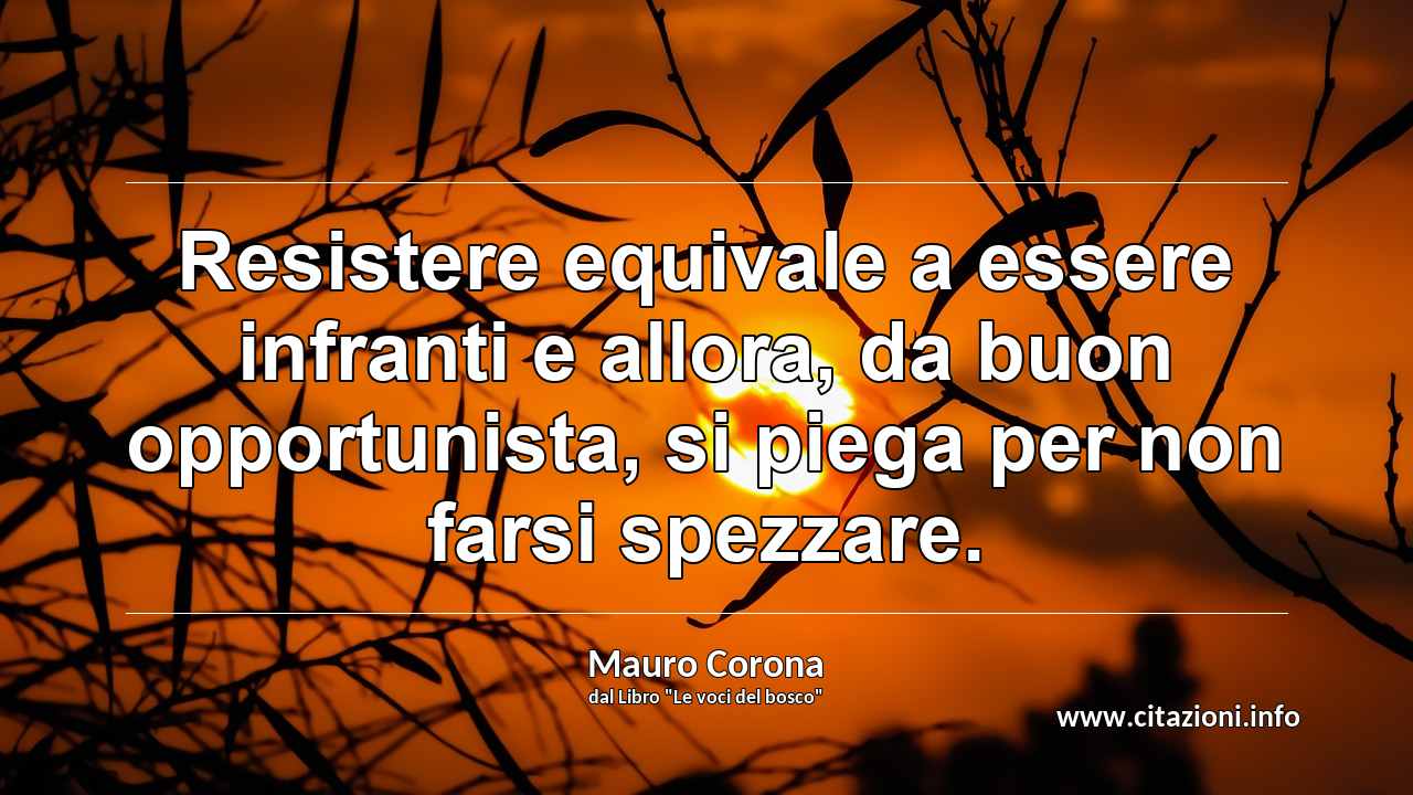 “Resistere equivale a essere infranti e allora, da buon opportunista, si piega per non farsi spezzare.”