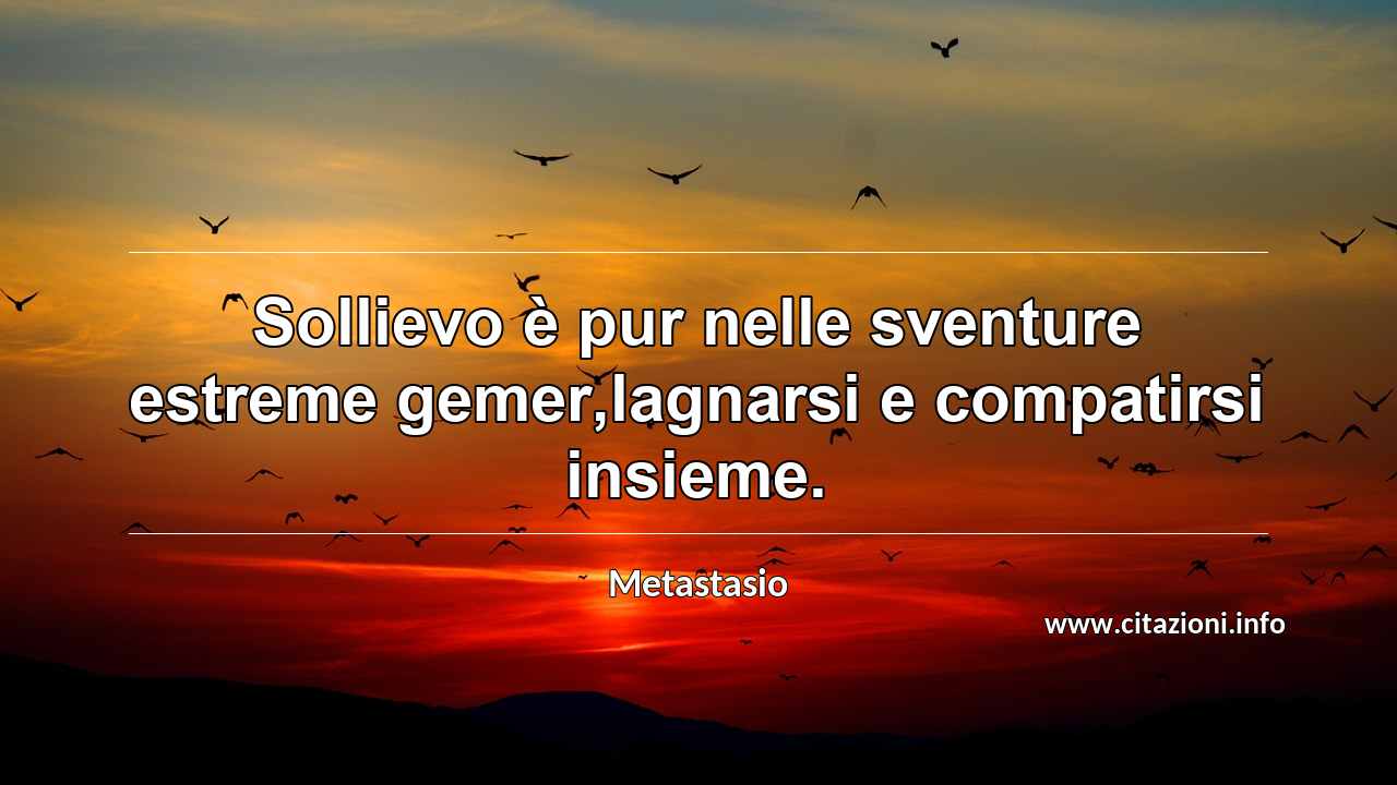 “Sollievo è pur nelle sventure estreme gemer,lagnarsi e compatirsi insieme.”