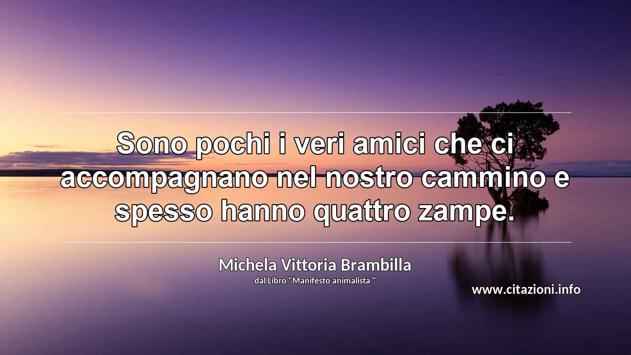 “Sono pochi i veri amici che ci accompagnano nel nostro cammino e spesso hanno quattro zampe.”