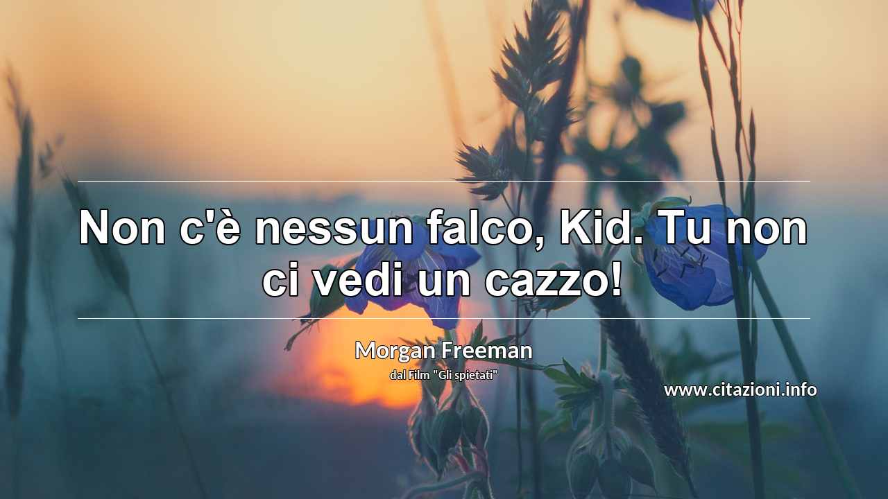 “Non c'è nessun falco, Kid. Tu non ci vedi un cazzo!”