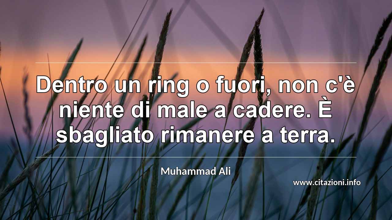 “Dentro un ring o fuori, non c'è niente di male a cadere. È sbagliato rimanere a terra.”