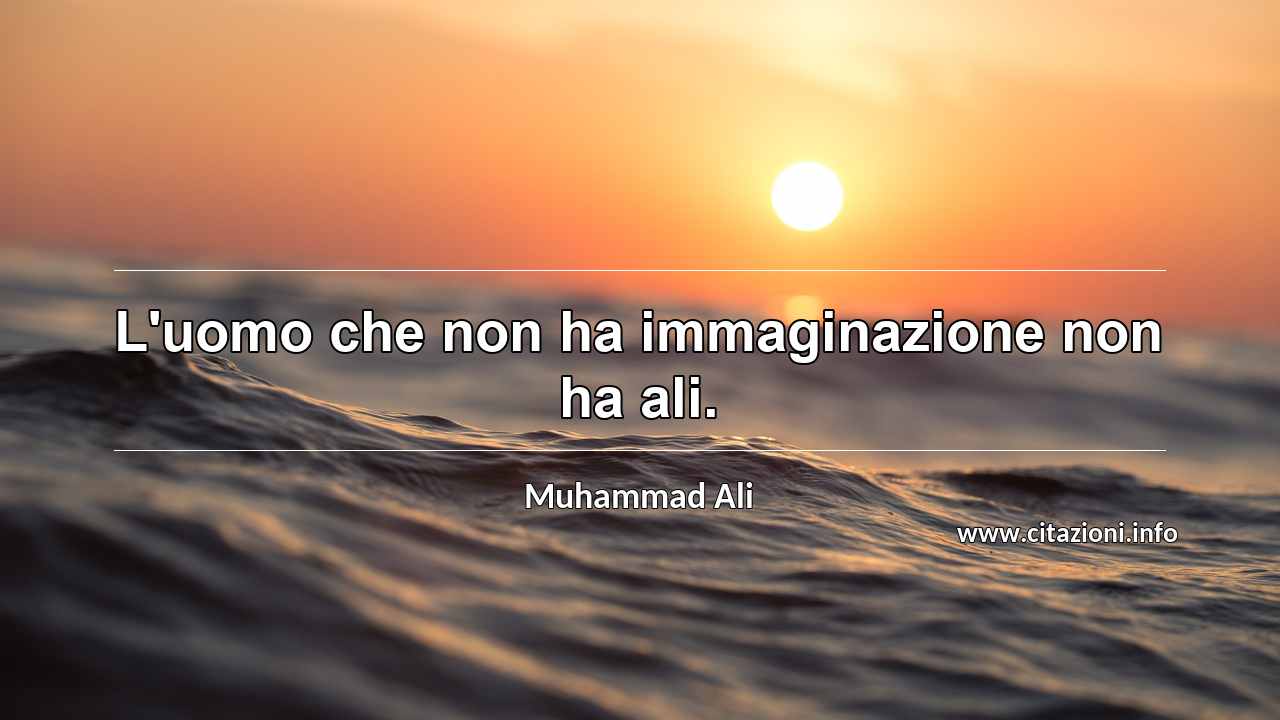 “L'uomo che non ha immaginazione non ha ali.”