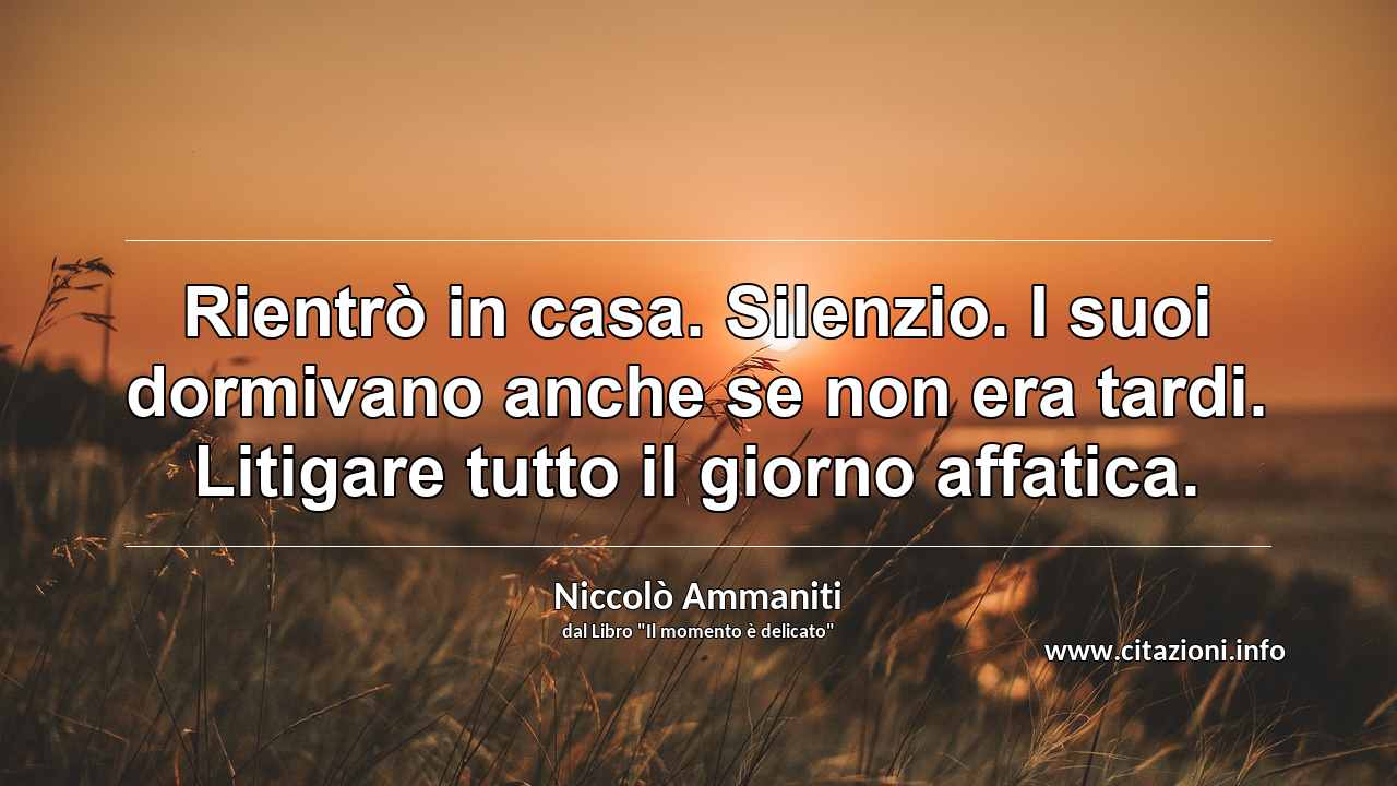 “Rientrò in casa. Silenzio. I suoi dormivano anche se non era tardi. Litigare tutto il giorno affatica.”