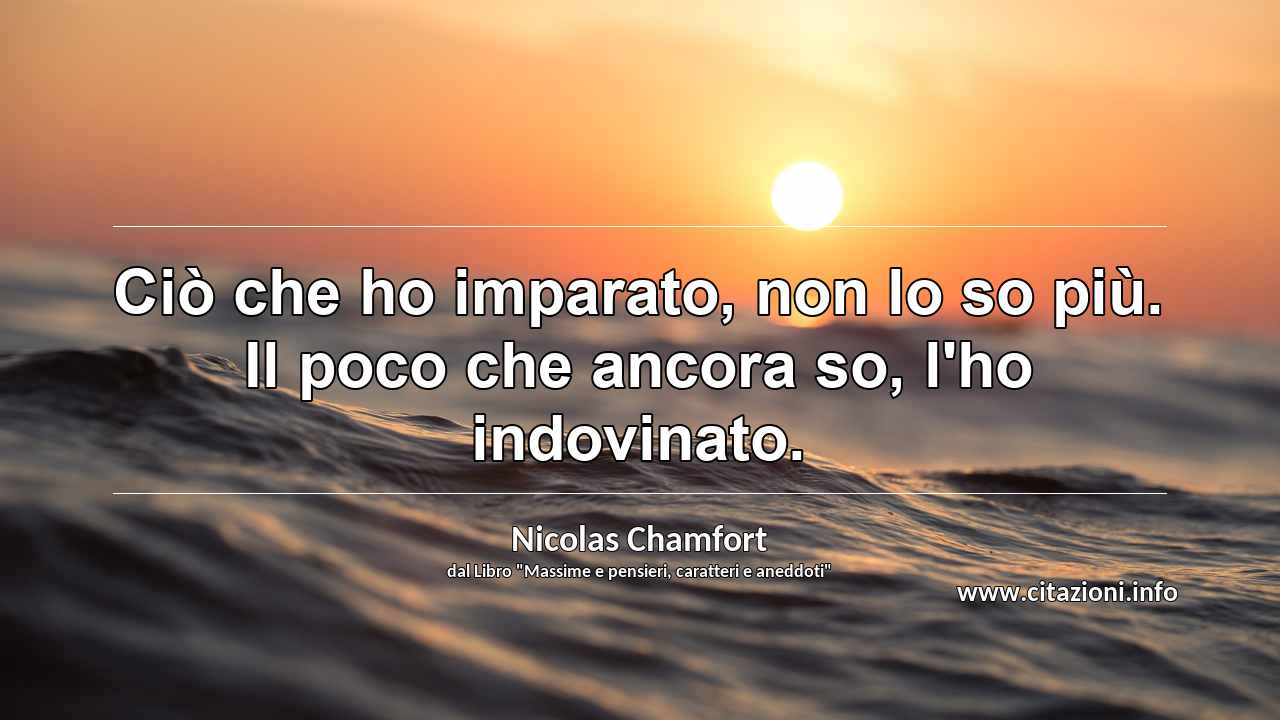 “Ciò che ho imparato, non lo so più. Il poco che ancora so, l'ho indovinato.”