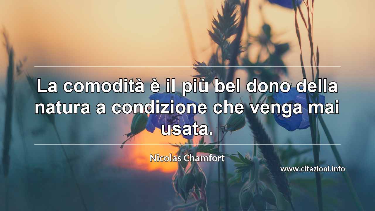 “La comodità è il più bel dono della natura a condizione che venga mai usata.”