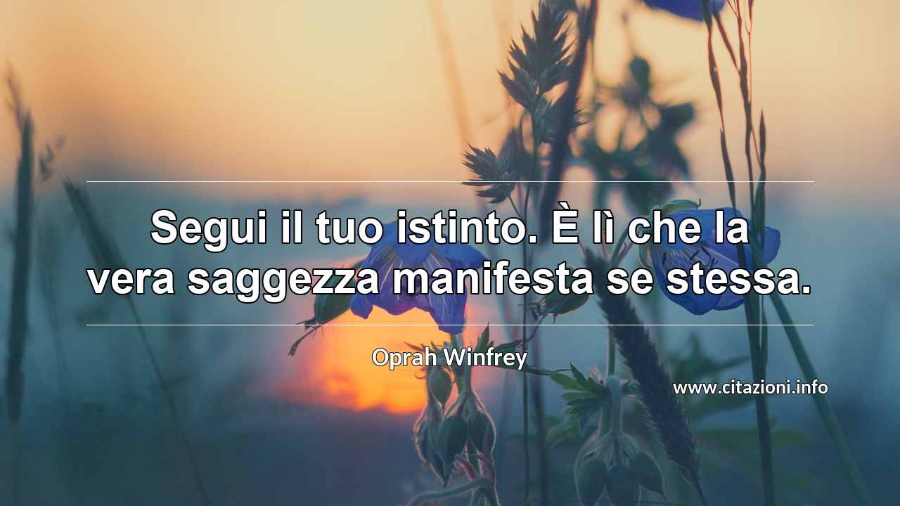 “Segui il tuo istinto. È lì che la vera saggezza manifesta se stessa.”