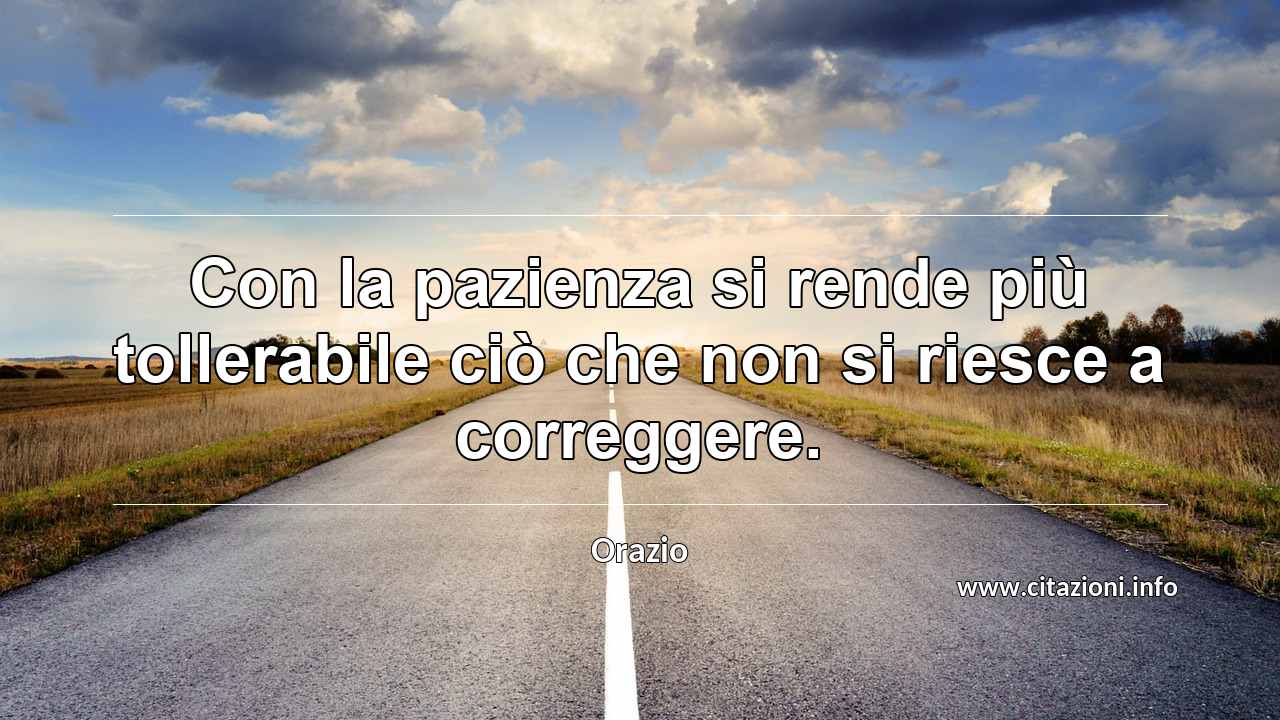 “Con la pazienza si rende più tollerabile ciò che non si riesce a correggere.”