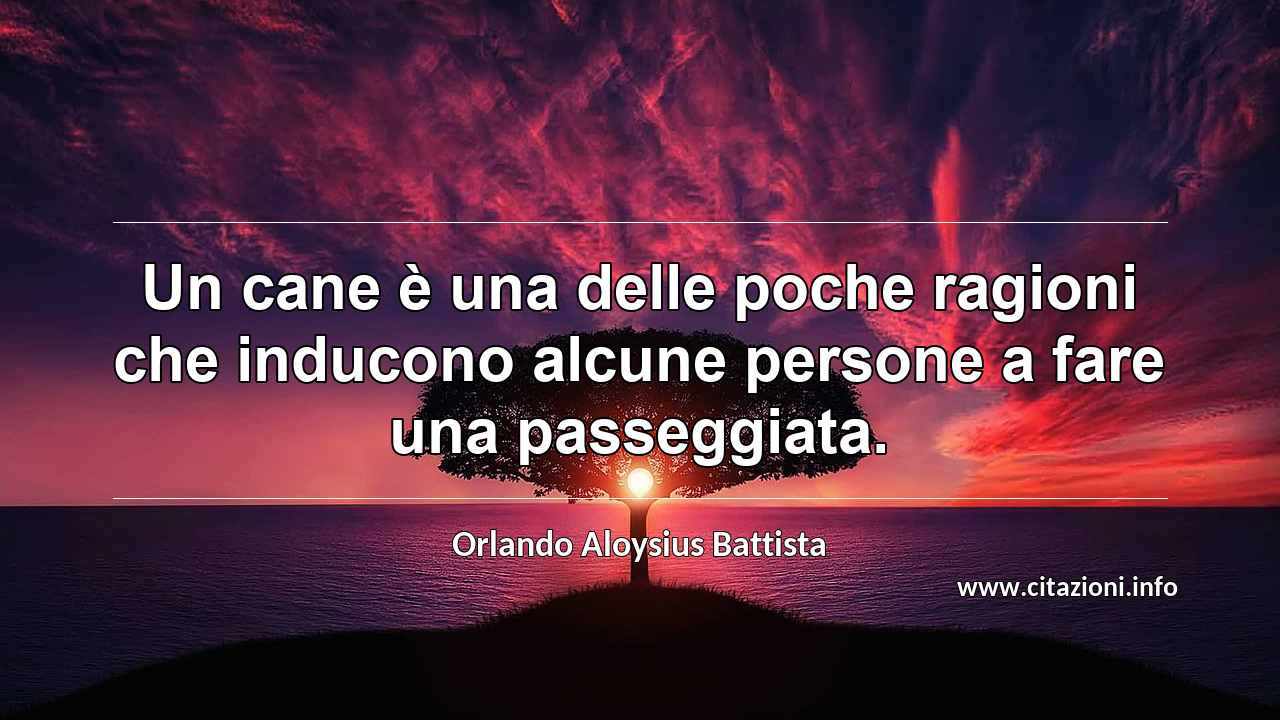 “Un cane è una delle poche ragioni che inducono alcune persone a fare una passeggiata.”